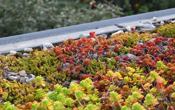 the cost of Tyne Dock green roof installation