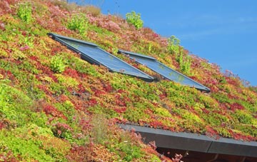 Tyne Dock living roof systems