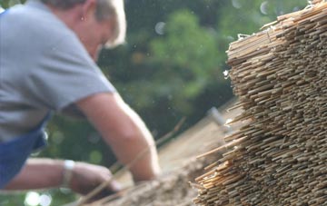 professional Tyne Dock thatchers