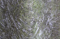 Tyne Dock fibreglass roof work